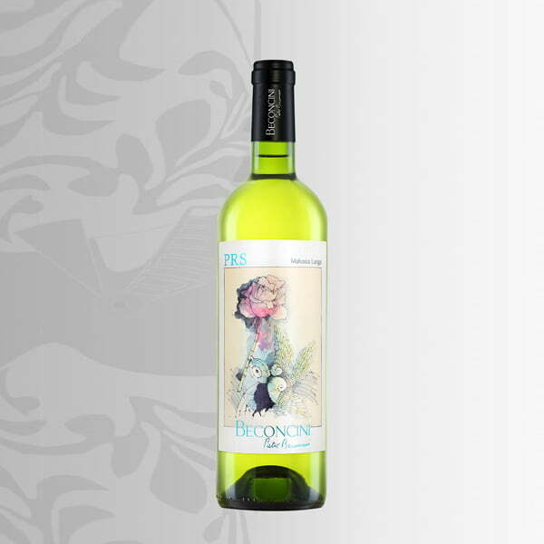 Vino-Chianti-Bianco-PRS-Anno-Zero---Chianti-White-Wine-PRS-Anno-Zero